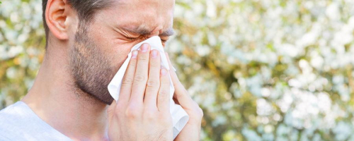 Alergia počas peľovej sezóny. Ako s ňou zatočiť?